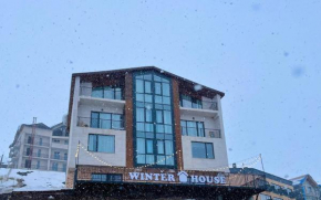 Gudauri Winter House 2020